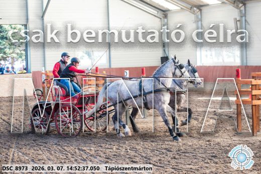 Mintakép 20260307-1231