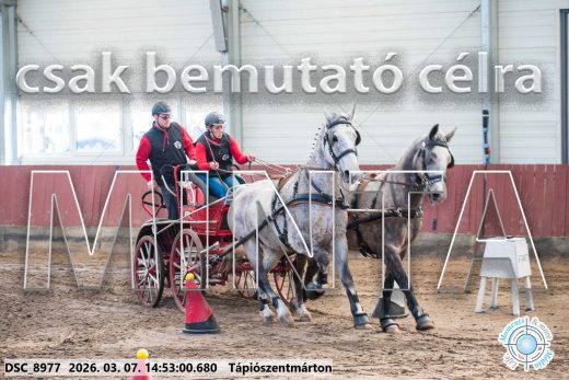Mintakép 20260307-1235