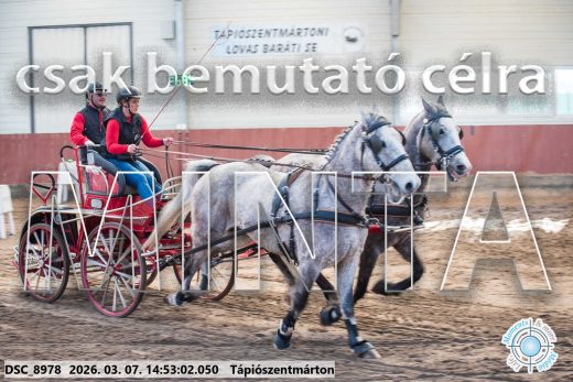 Mintakép 20260307-1236