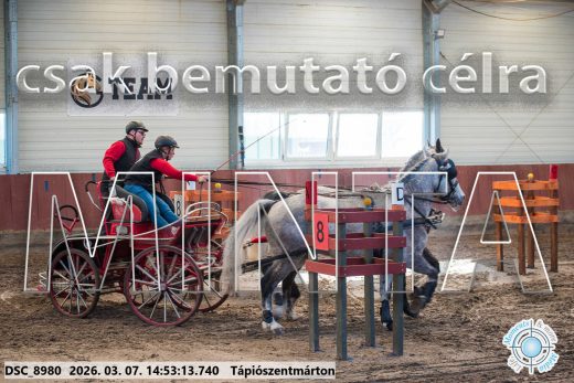 Mintakép 20260307-1238
