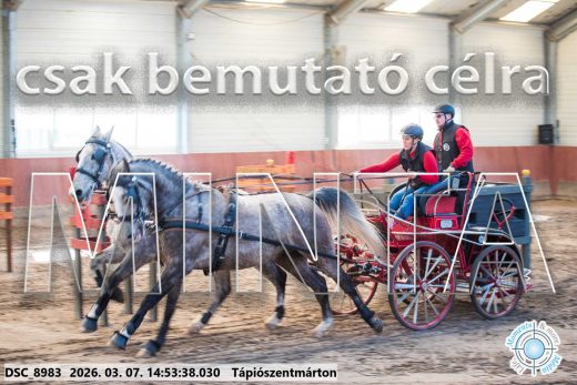 Mintakép 20260307-1241