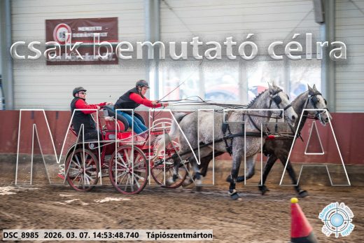 Mintakép 20260307-1243
