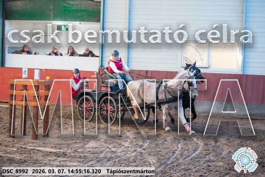 Mintakép 20260307-1250