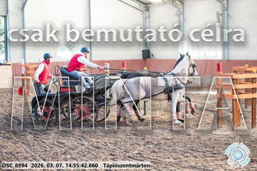 Mintakép 20260307-1252