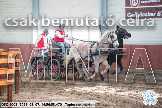 Mintakép 20260307-1259
