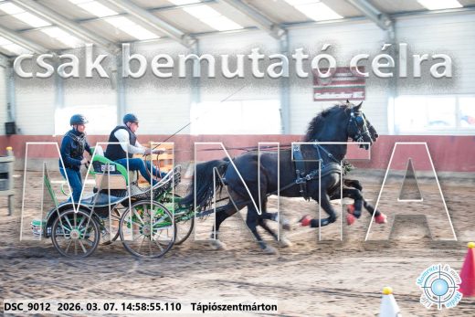 Mintakép 20260307-1267