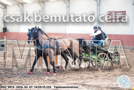 Mintakép 20260307-1269
