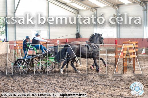 Mintakép 20260307-1270