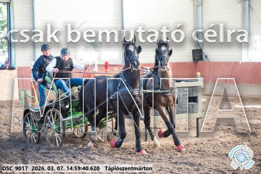 Mintakép 20260307-1271