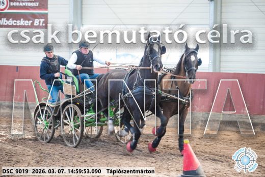 Mintakép 20260307-1272