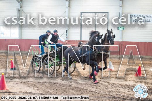 Mintakép 20260307-1273