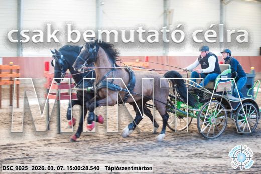 Mintakép 20260307-1277