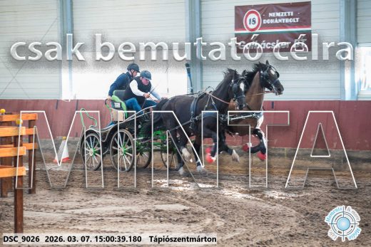 Mintakép 20260307-1278