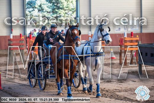 20260307-152139-DSC_9030.jpg
