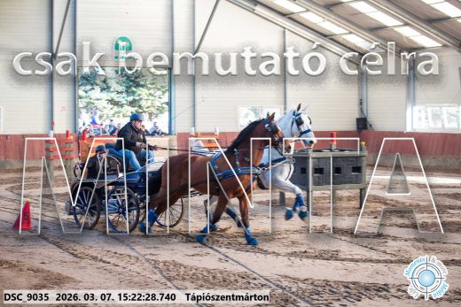 Mintakép 20260307-1284