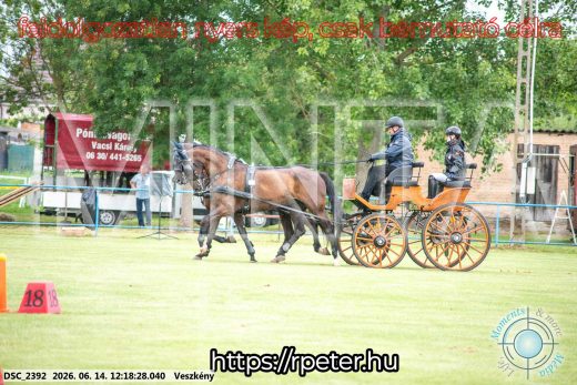 Mintakép 20260614-219