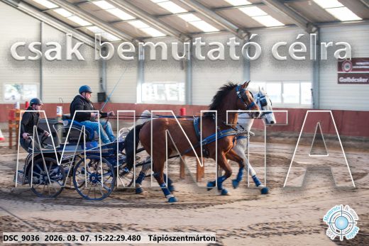 Mintakép 20260307-1285