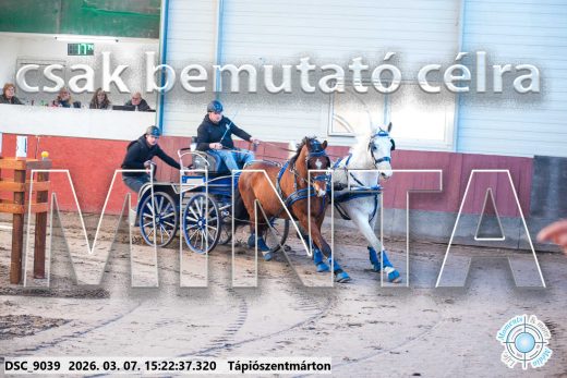 Mintakép 20260307-1287