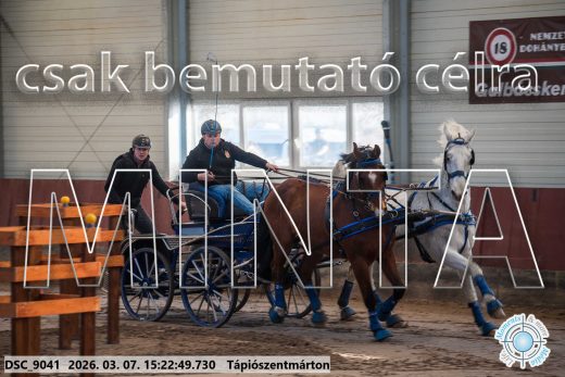 Mintakép 20260307-1288