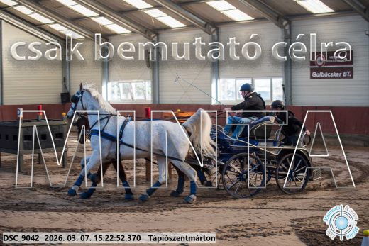 Mintakép 20260307-1289
