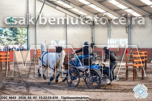 Mintakép 20260307-1290