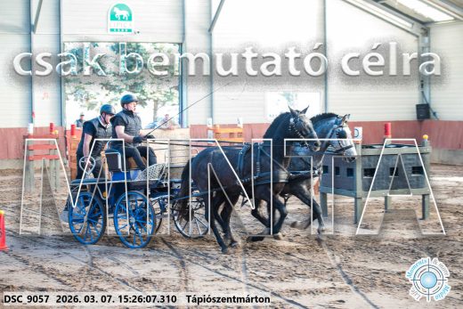 Mintakép 20260307-1302