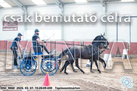 Mintakép 20260307-1304