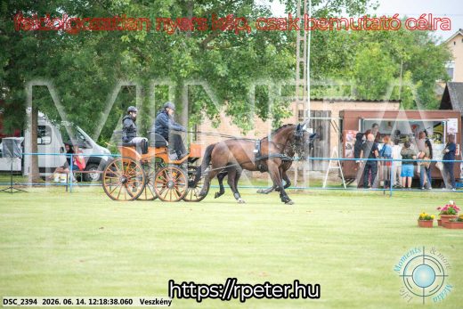 Mintakép 20260614-221