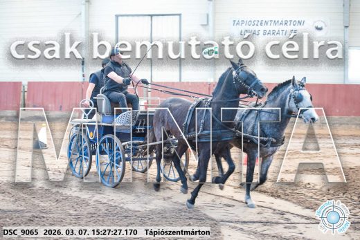 Mintakép 20260307-1308