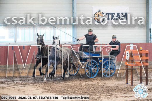 Mintakép 20260307-1309