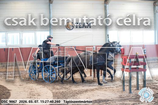 Mintakép 20260307-1310