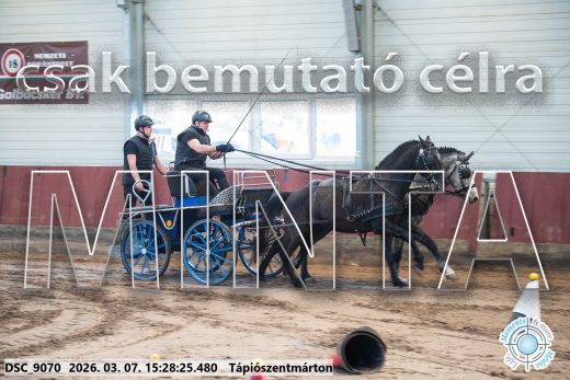 Mintakép 20260307-1312