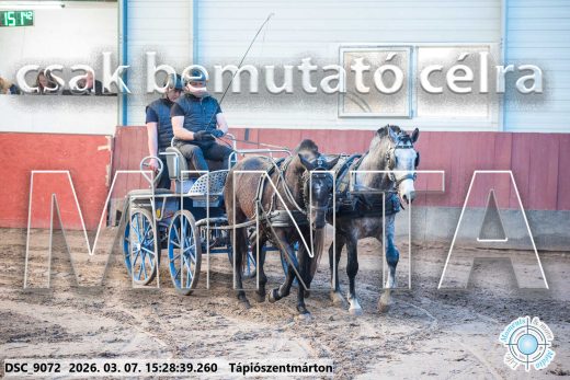 Mintakép 20260307-1314