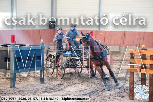 Mintakép 20260307-1326
