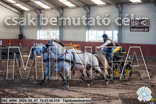 Mintakép 20260307-1335