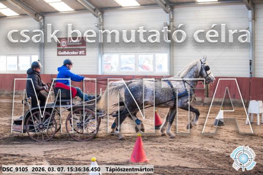 Mintakép 20260307-1342