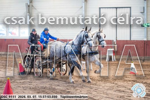 Mintakép 20260307-1346