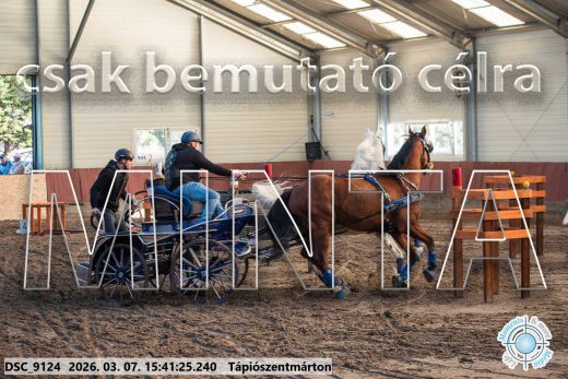 Mintakép 20260307-1356