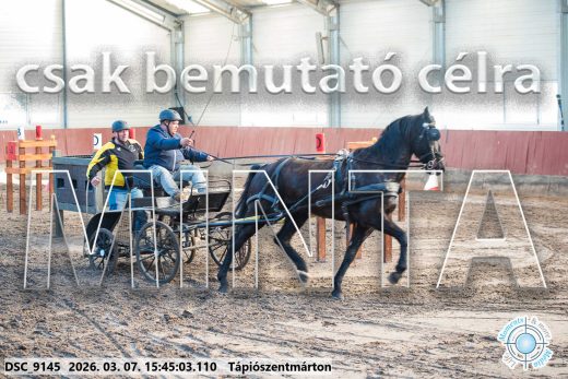 Mintakép 20260307-1369