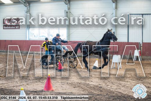 Mintakép 20260307-1370