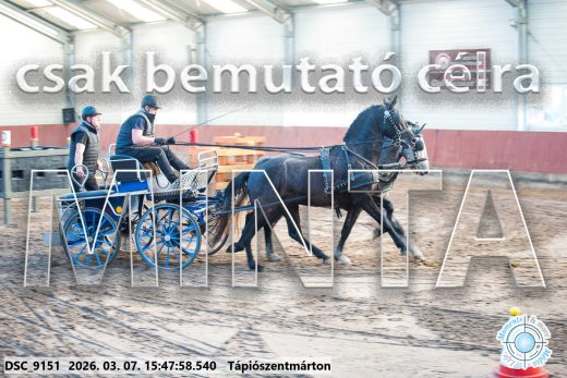 Mintakép 20260307-1374