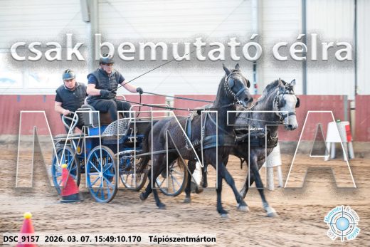 Mintakép 20260307-1378