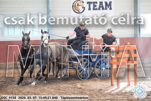 Mintakép 20260307-1379