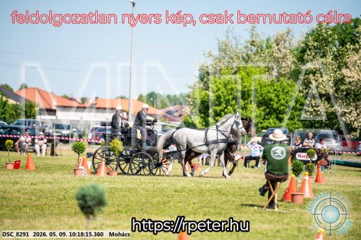 Mintakép 20260509-8