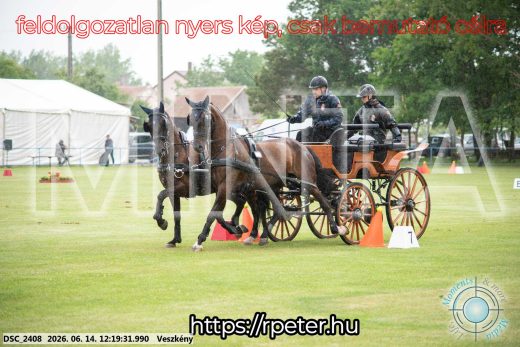 Mintakép 20260614-230