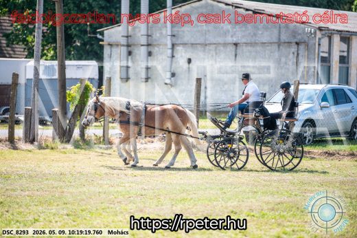 Mintakép 20260509-11
