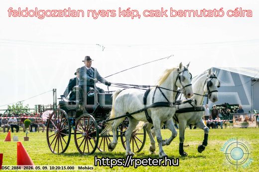 Mintakép 20260509-14
