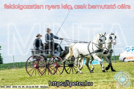 Mintakép 20260509-22