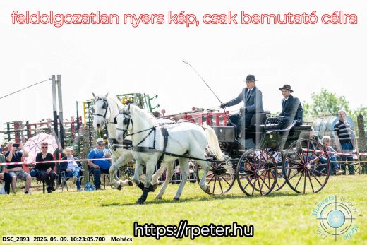 Mintakép 20260509-23