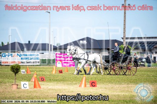 Mintakép 20260509-28